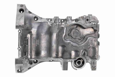 BAIE ULEI ACKOJA A260256 7