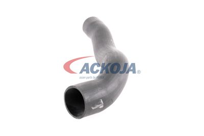 FURTUN EAR SUPRAALIMENTARE ACKOJA A379600 23