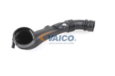 ANSAUGSCHLAUCH LUFTFILTER VAICO V203973 55