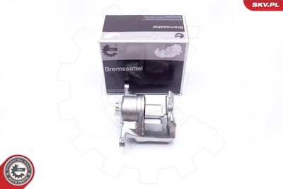 Brake Caliper 42SKV241