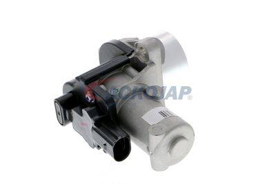 SUPAPA EGR ACKOJA A53630003 44