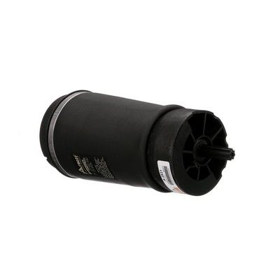 LUFTFEDER FAHRWERK Arnott A2831 19