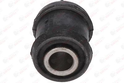 BUCSA ARBORE DE DIRECTIE BIRTH 4817 4