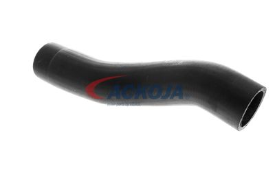 FURTUN EAR SUPRAALIMENTARE ACKOJA A529600 15