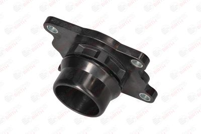 FLANSA LICHID RACIRE BIRTH 81798 2