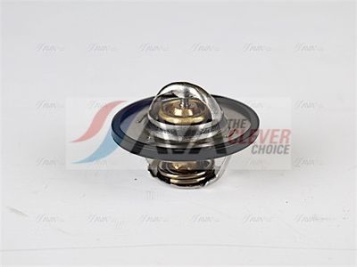 TERMOSTAT LICHID RACIRE AVA Clever Choice PETS001 3