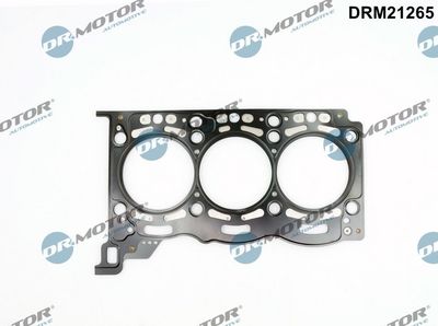 DRM21265