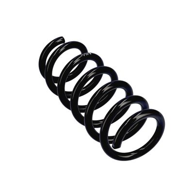 ARC SPIRAL EIBACH R23129 11