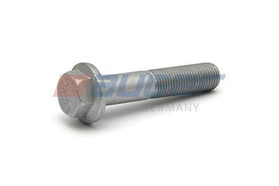 Surub AUGER 51527