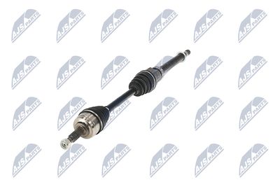 PLANETARA NTY NPWRE187 19