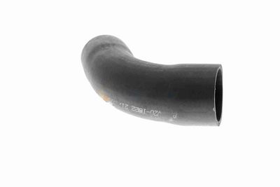 FURTUN EAR SUPRAALIMENTARE VAICO V201622 6