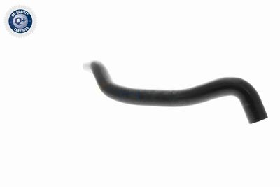 KüHLERSCHLAUCH VAICO V102807 3