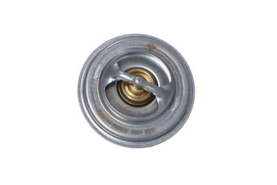 TERMOSTAT LICHID RACIRE NRF 725072 46