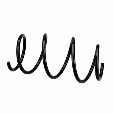 ARC SPIRAL EIBACH R10839 20