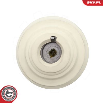 Zavěšení motoru ESEN SKV 75SKV419