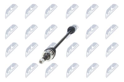 PLANETARA NTY NPWPL175 18