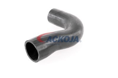 FURTUN EAR SUPRAALIMENTARE ACKOJA A389600 25