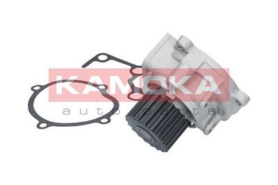 Water Pump, engine cooling T0179