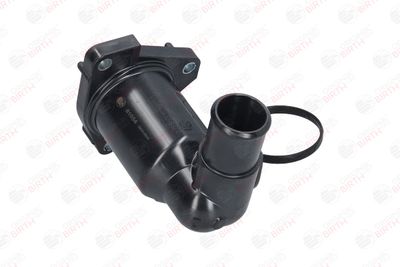 FLANSA LICHID RACIRE BIRTH 81054 2