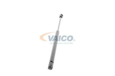 GASFEDER KOFFER-/LADERAUM VAICO V240499 50