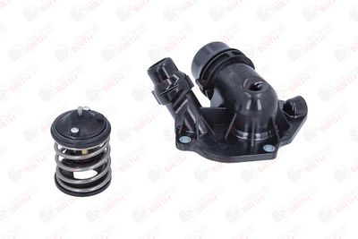 FLANSA LICHID RACIRE BIRTH 81103 6