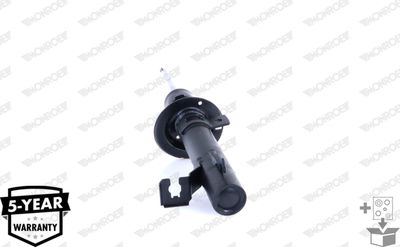 Shock Absorber G16383