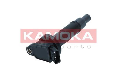 Ignition Coil 7120030