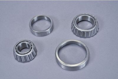 SET RULMENT ROATA AUTOMEGA 110195210 2