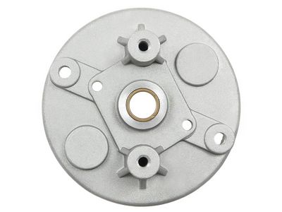 AS-PL Starterdeckel, Vergaser