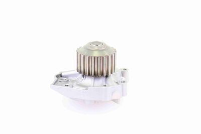 WASSERPUMPE MOTORKüHLUNG VAICO V5150001 4