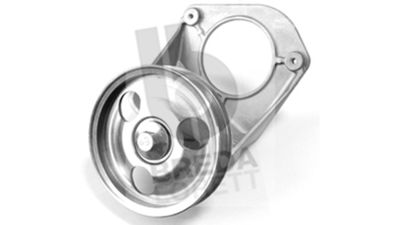 BREDA LORETT TOA3650 Ролик ремня генератора  для PEUGEOT 307 Break (3E) 2.0