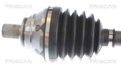 PLANETARA TRISCAN 8540295035 1