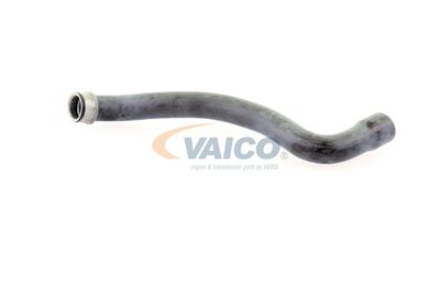KüHLERSCHLAUCH VAICO V301655 13