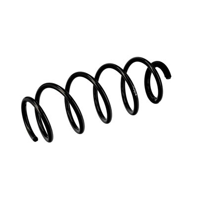 ARC SPIRAL EIBACH R10067 17