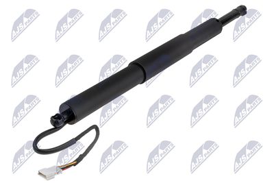 Dujinė spyruoklė, bagažinė