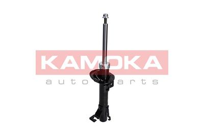 Shock Absorber 2000253