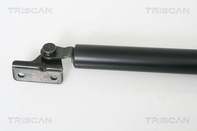 AMORTIZOR PORTBAGAJ KAWE 871043214 1