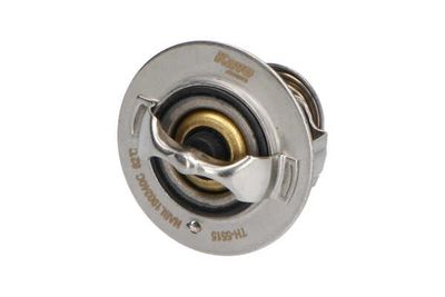 TERMOSTAT LICHID RACIRE Kavo Parts TH5515 6