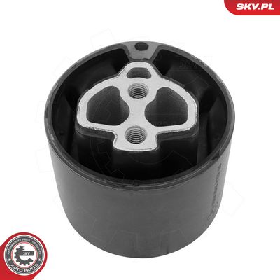 окачване, двигател ESEN SKV 75SKV545