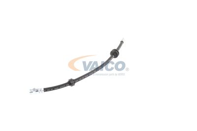 FURTUN FRANA VAICO V240328 19