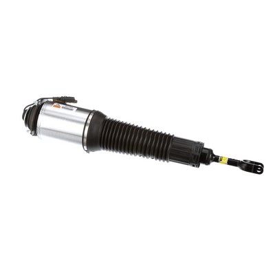 LUFTFEDERBEIN Arnott AS2560 41