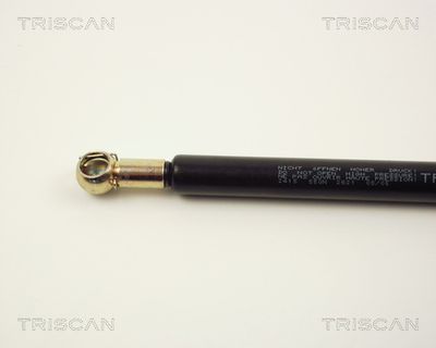 AMORTIZOR PORTBAGAJ KAWE 87102415 1