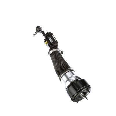 LUFTFEDERBEIN Arnott AS2548 71