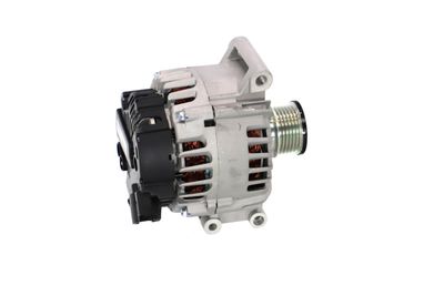 GENERATOR / ALTERNATOR REMANTE 011003000095R 42