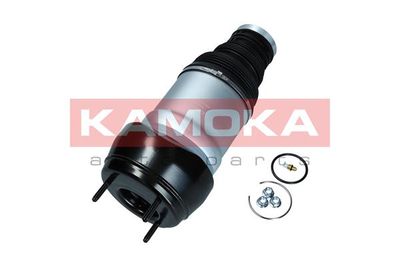 Air Spring, suspension 2079046