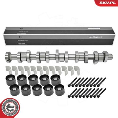 SET AX CU CAME ESEN SKV 80SKV305 1