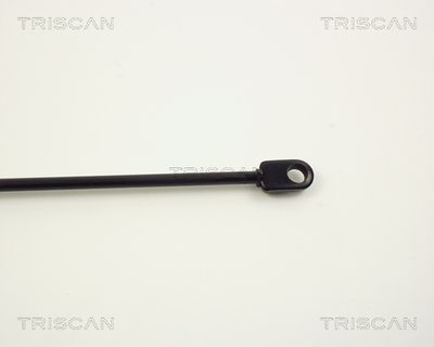 AMORTIZOR CAPOTA TRISCAN 87101102 2