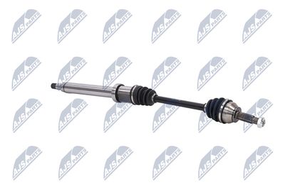 PLANETARA NTY NPWFR028 10