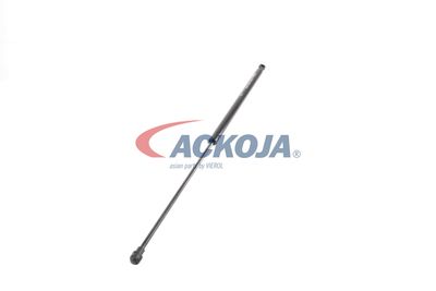 AMORTIZOR PORTBAGAJ ACKOJA A380338 28