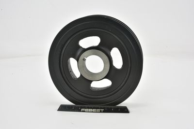 FULIE CUREA ARBORE COTIT FEBEST HYDSLAN 3